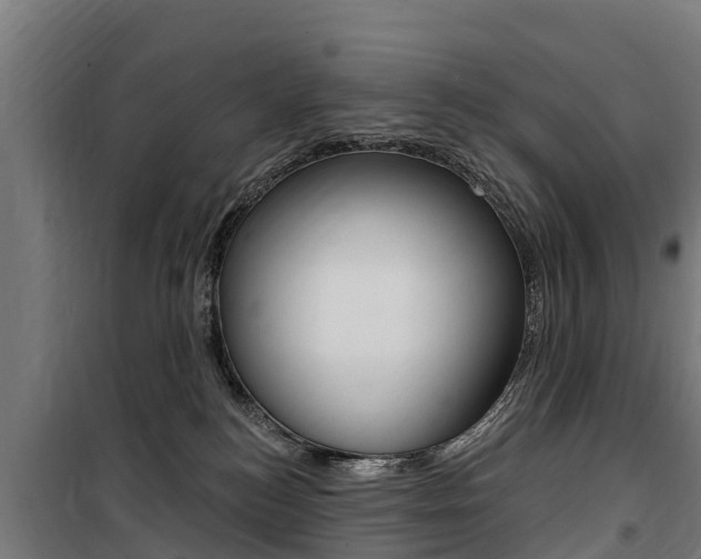 X0000100750184200806190832