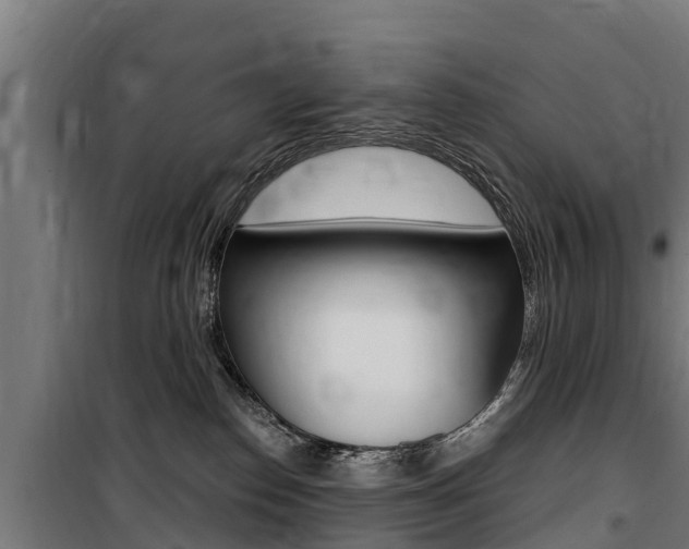 X0000100750186200806190832