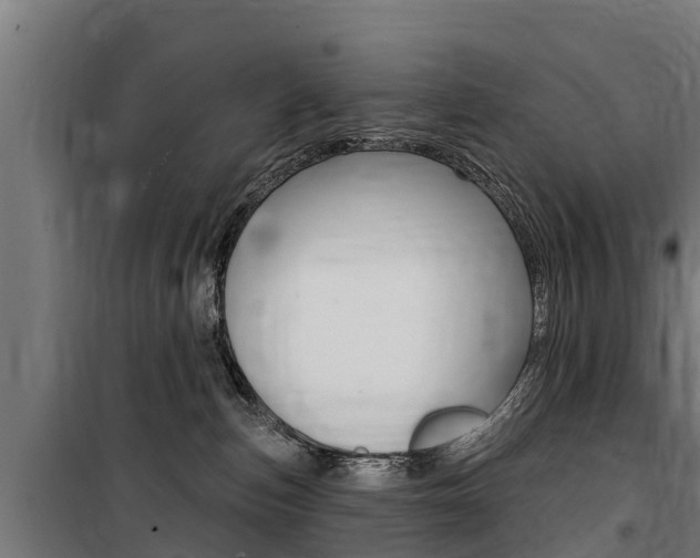 X0000100750187200806190832