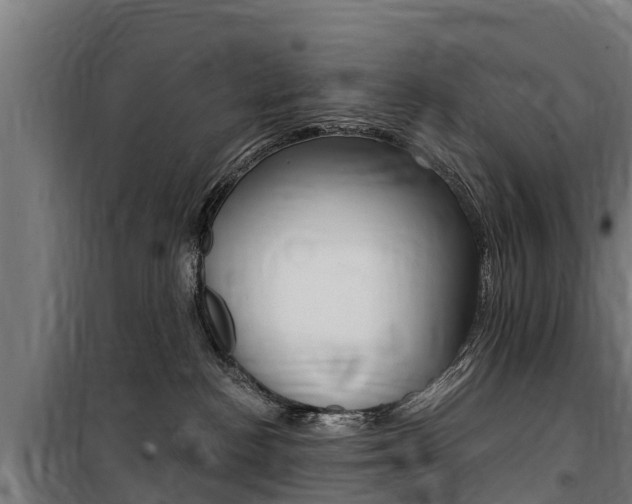 X0000100750188200806190832