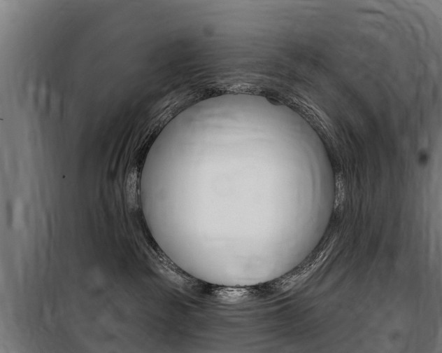 X0000100750189200806190832