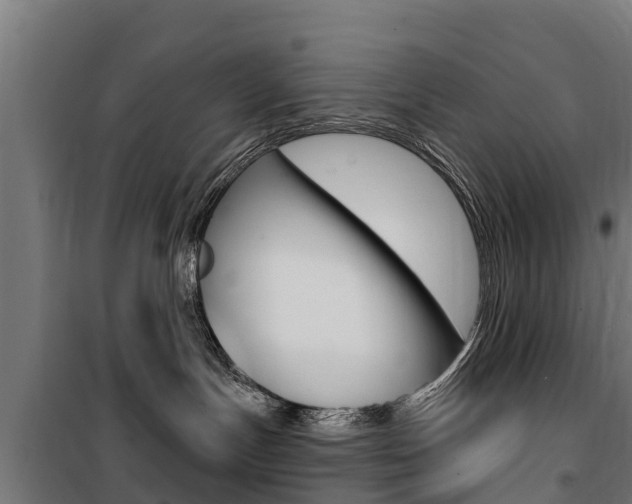 X0000100750191200806190832