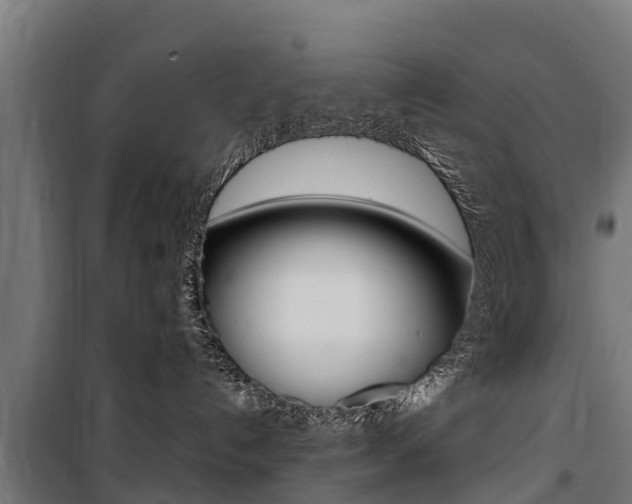 X0000100750192200806190832