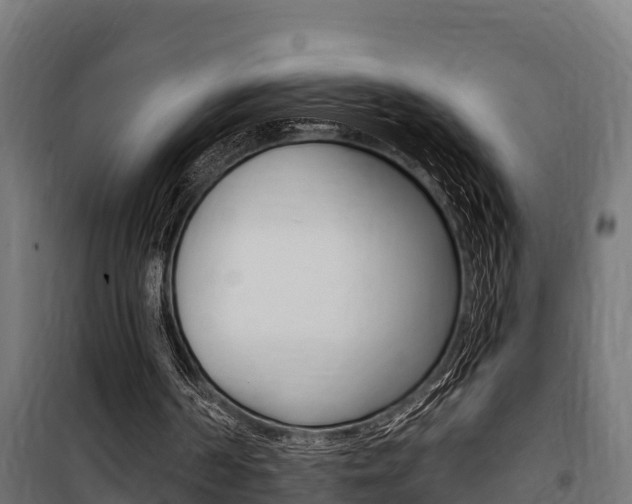 X0000100750194200806190831