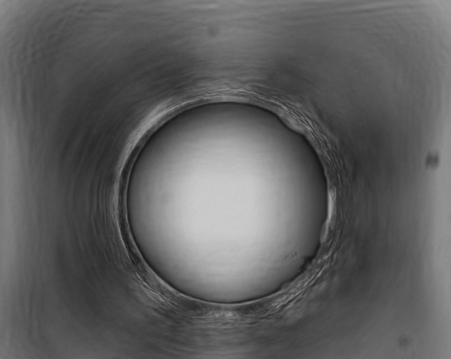 X0000100750195200806190831