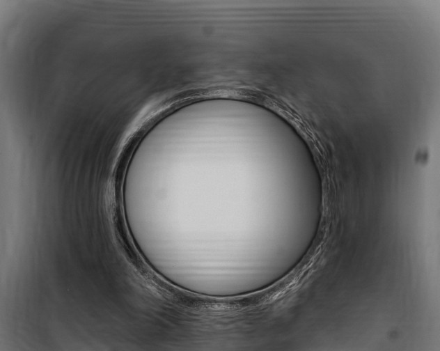 X0000100750198200806190831