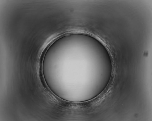 X0000100750199200806190831
