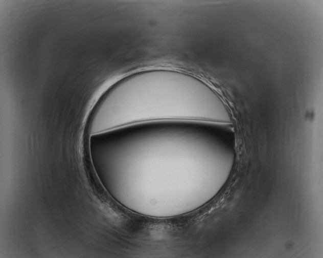X0000100750200200806190831