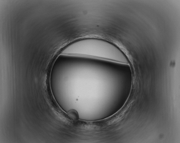 X0000100750201200806190831