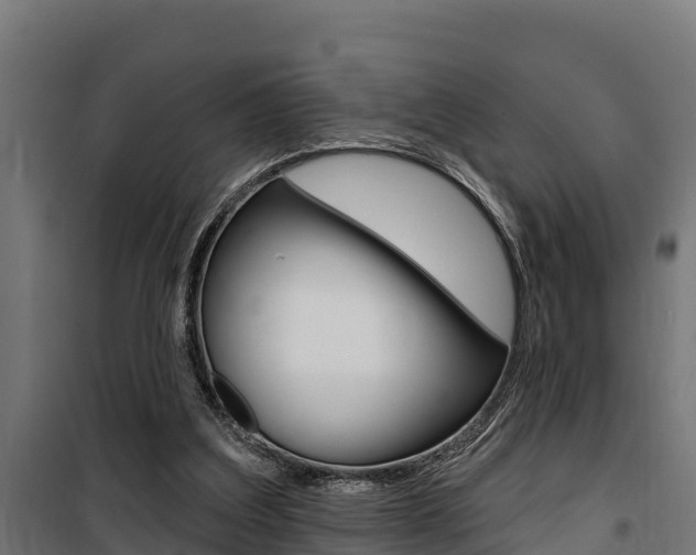 X0000100750203200806190831