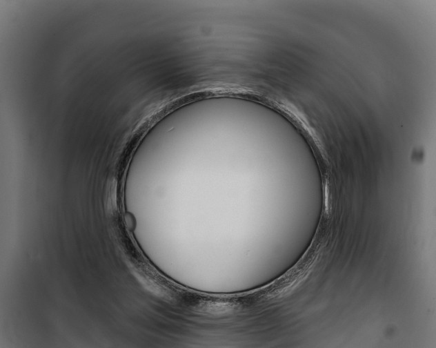 X0000100750205200806190831