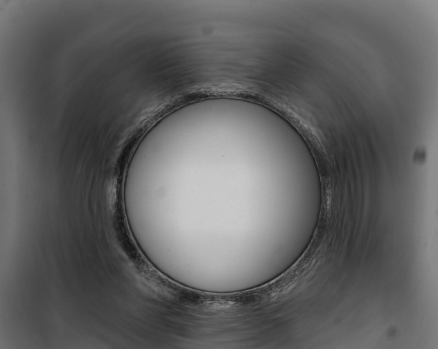 X0000100750206200806190831