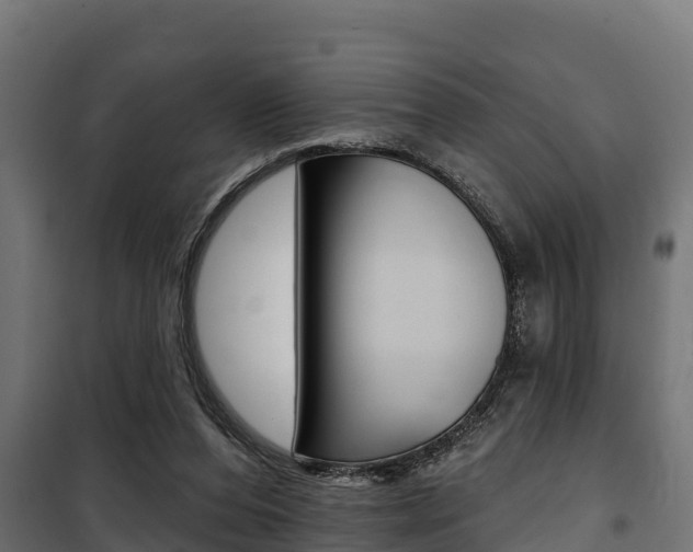 X0000100750208200806190831