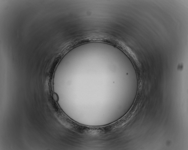 X0000100750209200806190831