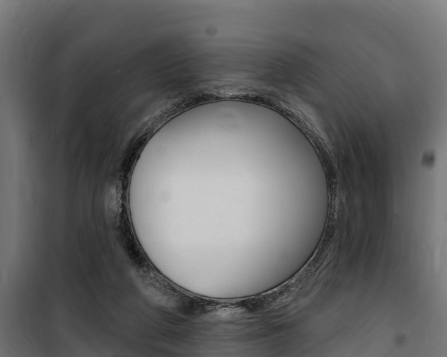 X0000100750210200806190831