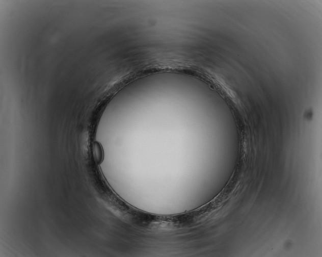 X0000100750211200806190831