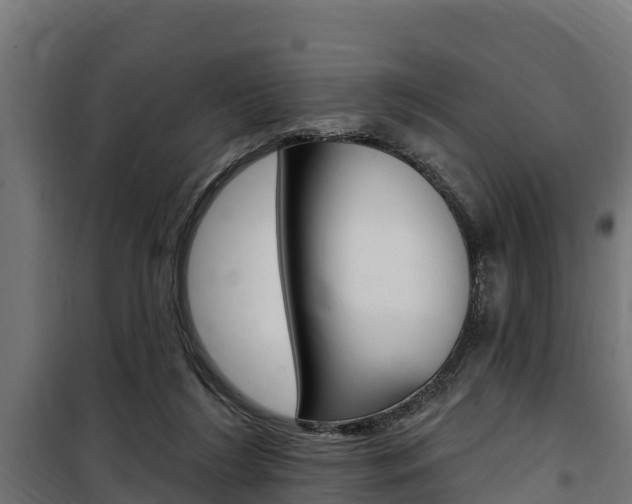 X0000100750212200806190831