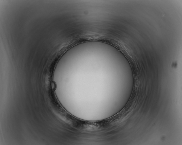 X0000100750215200806190831