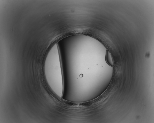X0000100750216200806190831