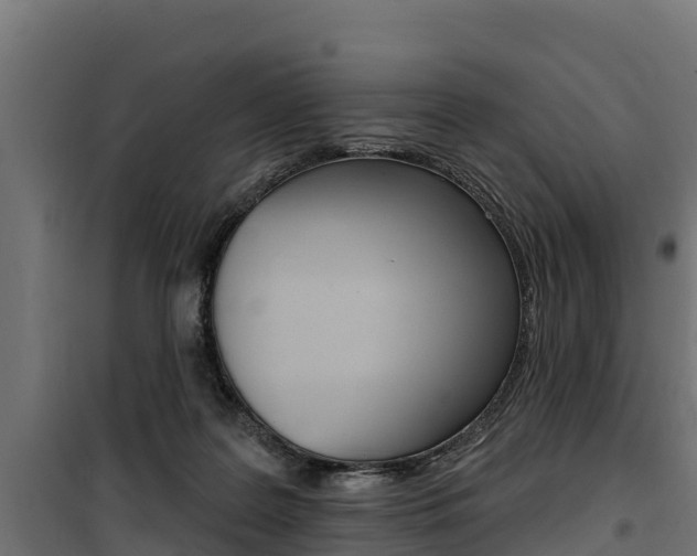X0000100750219200806190831
