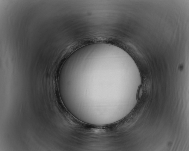 X0000100750220200806190831