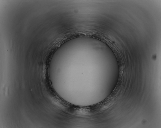 X0000100750223200806190831