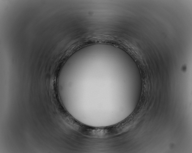 X0000100750225200806190831