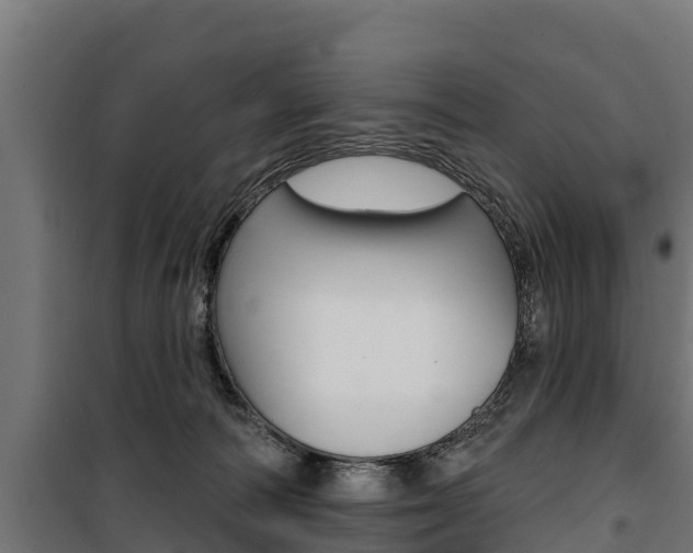 X0000100750226200806190831