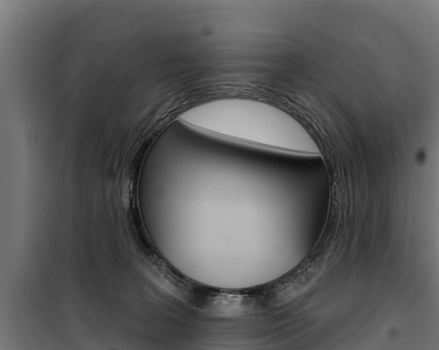 X0000100750227200806190831