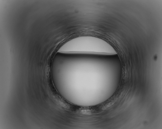 X0000100750228200806190831