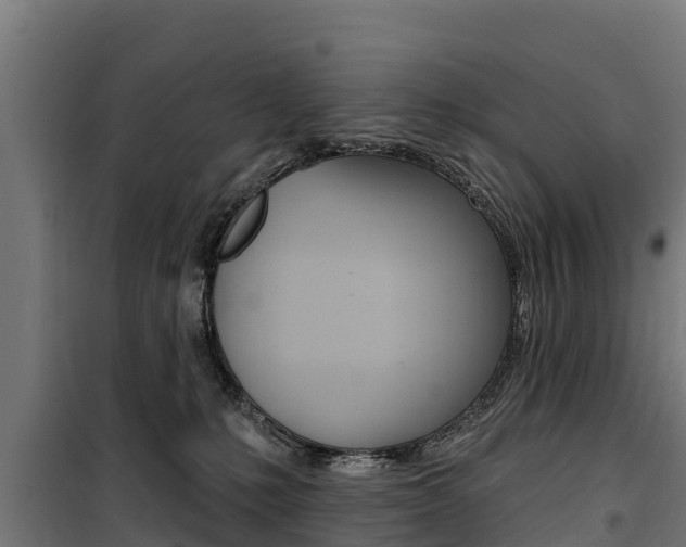 X0000100750231200806190831