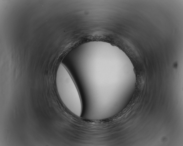 X0000100750232200806190831