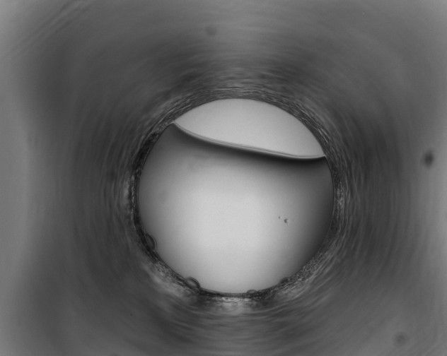 X0000100750233200806190831