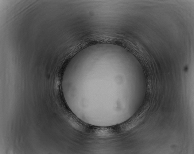 X0000100750235200806190830