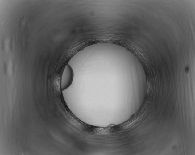 X0000100750238200806190830