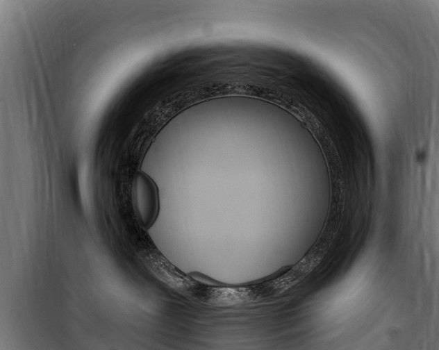 X0000100750239200806190830