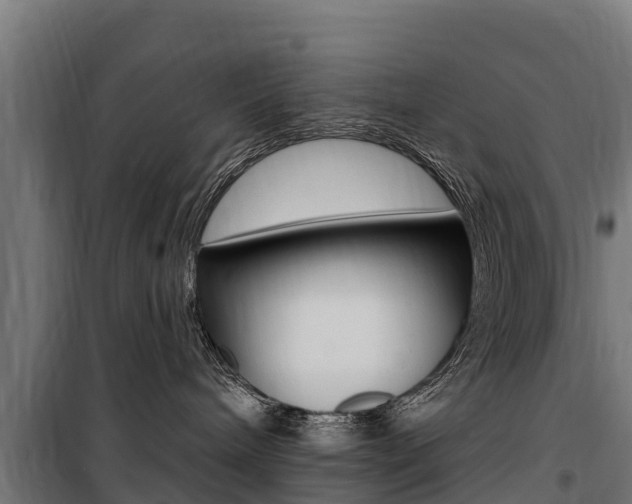X0000100750240200806190830