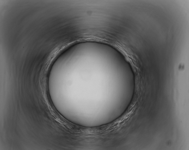 X0000100750241200806190830