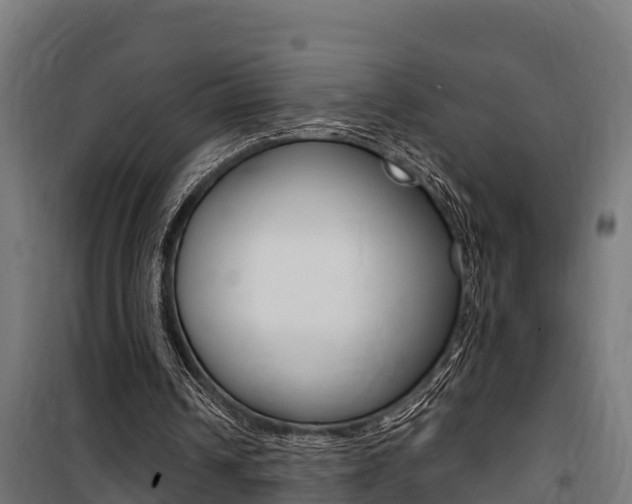 X0000100750242200806190830
