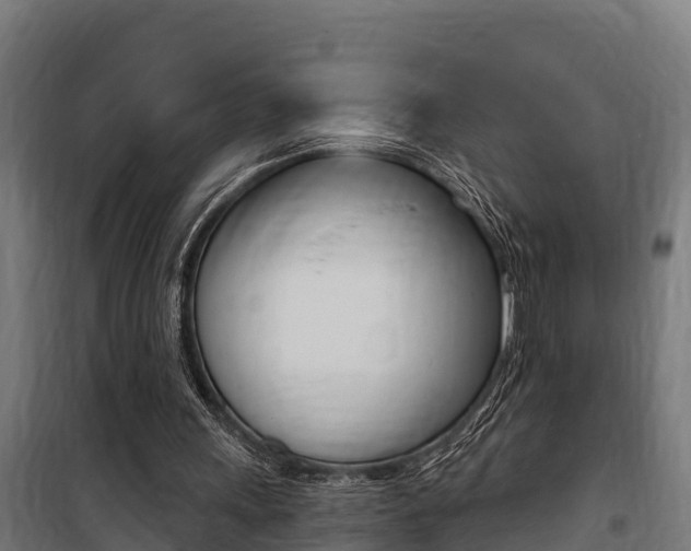 X0000100750243200806190830
