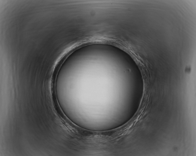 X0000100750244200806190830