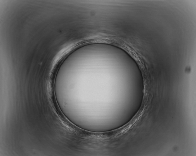 X0000100750245200806190830