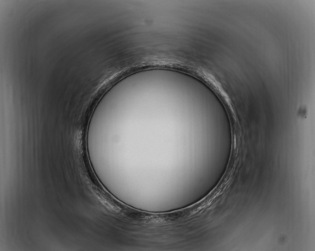 X0000100750249200806190830
