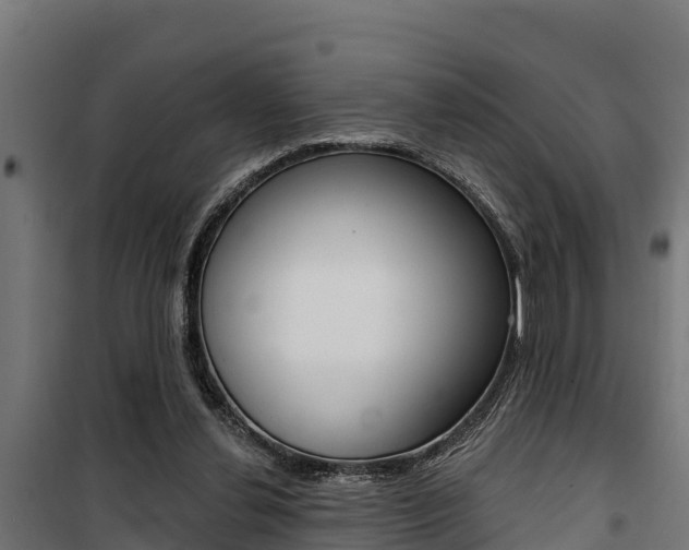 X0000100750252200806190830
