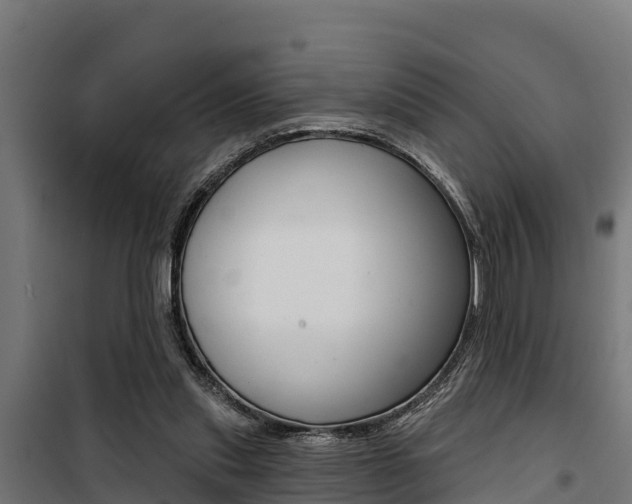 X0000100750253200806190830