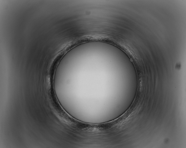 X0000100750254200806190830