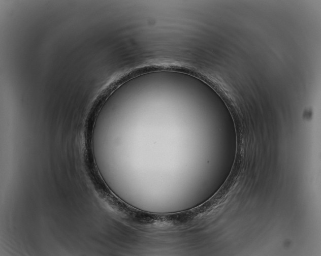 X0000100750256200806190830