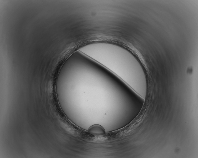 X0000100750257200806190830