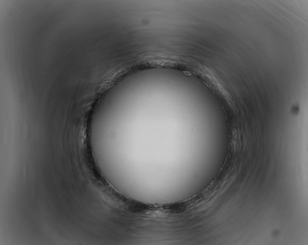 X0000100750259200806190830