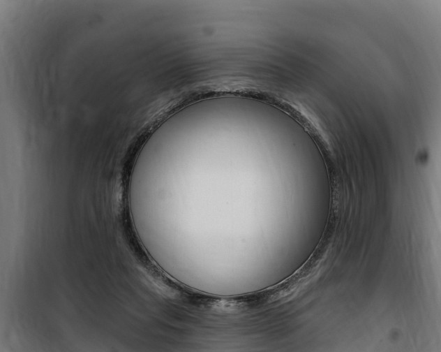 X0000100750261200806190830